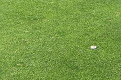 Matt-on-7-green