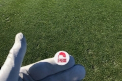 Matt-on-7